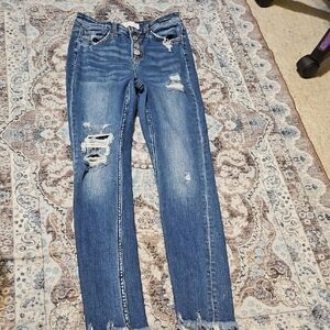 Stylish Distressed Blue Ankle Jeans